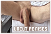 Uncut Penises