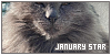January Star