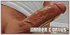 100x50 code