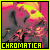 50x50 code