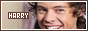 88x31 code