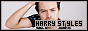 88x31 code