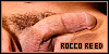 100x50 code