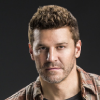 David Boreanaz